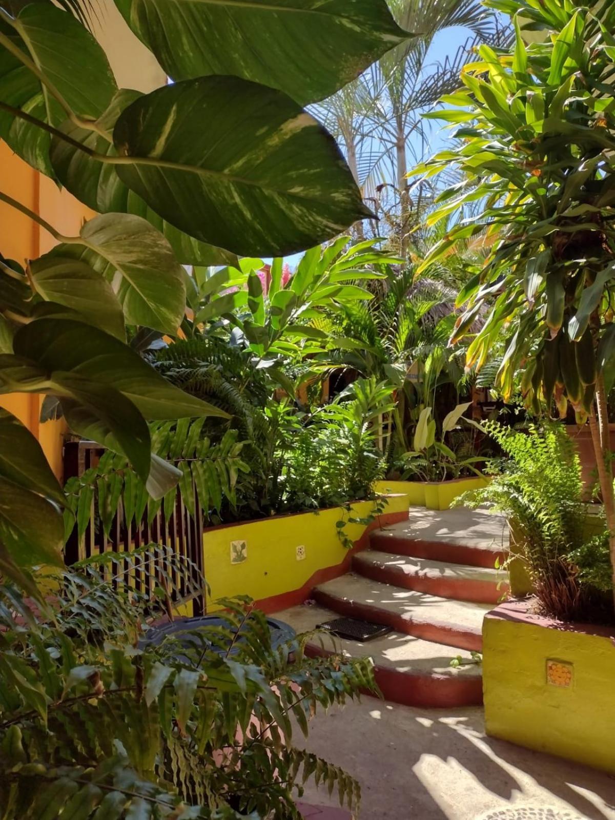 Hotel La Cabana Puerto Angel Exterior photo