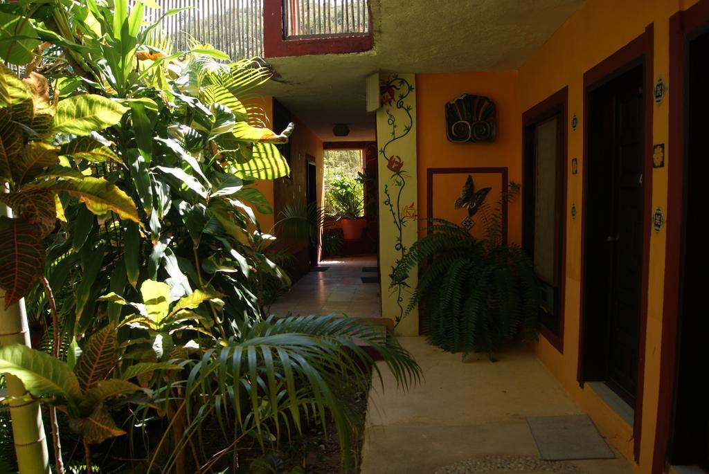 Hotel La Cabana Puerto Angel Exterior photo